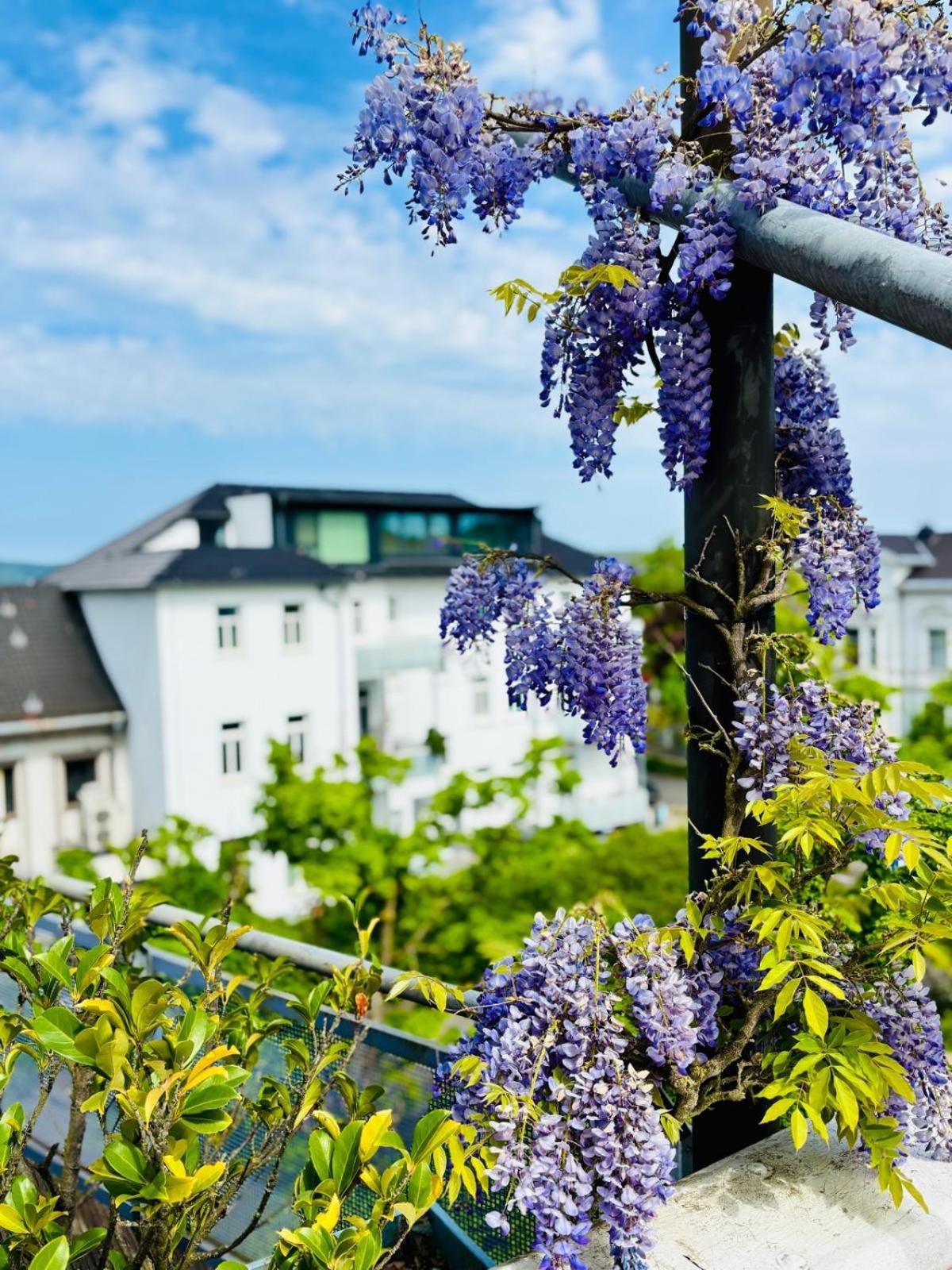 Pension Am Sueltebrunnen Bad Oeynhausen Exteriér fotografie